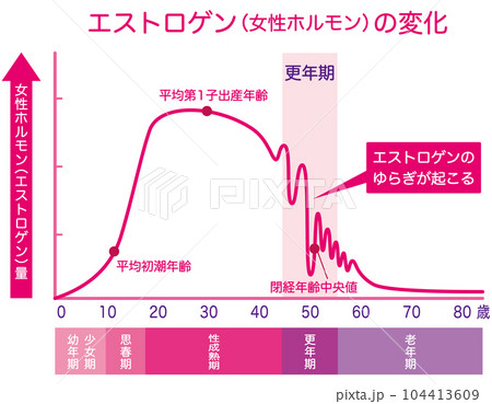 女性ホルモン　エストロゲンの変化　更年期 104413609
