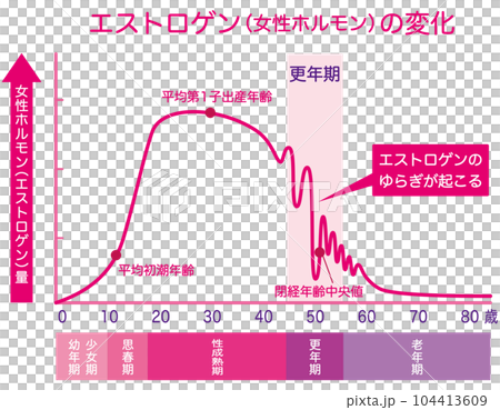 女性ホルモン　エストロゲンの変化　更年期 104413609