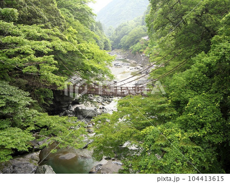 祖谷かずら橋 104413615