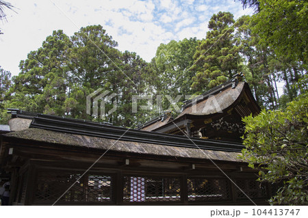 建部大社 本殿 建部大社 本殿 104413747