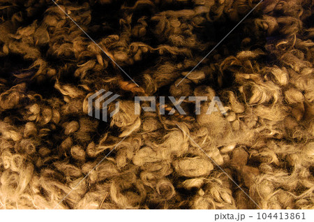 アウシュヴィッツ第一強制収容所 104413861