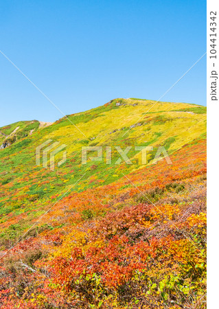 秋の栗駒山登山（中央コースから望む山頂） 104414342
