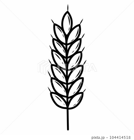 Ear of wheat. Vector illustration in doodle style. 104414518