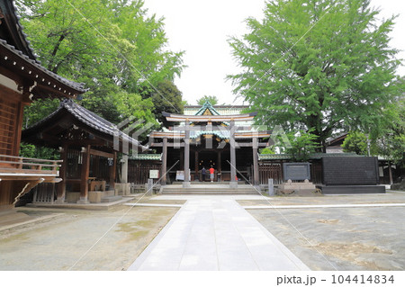 牛嶋神社　東京都墨田区向島　 104414834