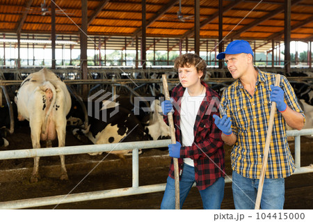 Farmers talking in cowhouse Farmers talking in cowhouse 104415000