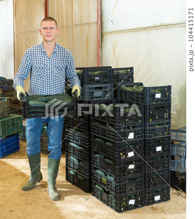 Man carrying box full of cucumbers 104415171