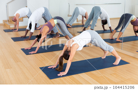 Multiethnic group of young people practicing yoga Multiethnic group of young people practicing yoga 104415206