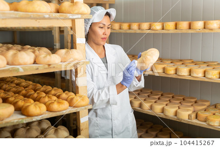Woman cheesemaker checking aging process of cheese in maturing chamber Woman cheesemaker checking aging process of cheese in maturing chamber 104415267