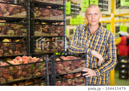 male employee working at warehouse 104415479