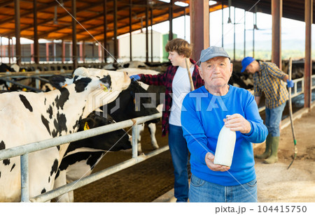 Farm owner and workers in cowhouse Farm owner and workers in cowhouse 104415750