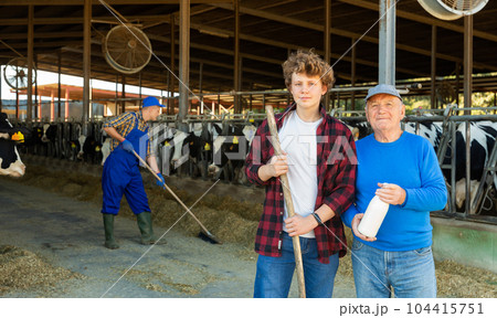 Elderly farmer and his assistant grandson with bottle of milk on the background of cows in stall Elderly farmer and his assistant grandson with bottle of milk on the background of cows in stall 104415751