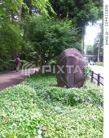井の頭公園 井の頭公園 104415806