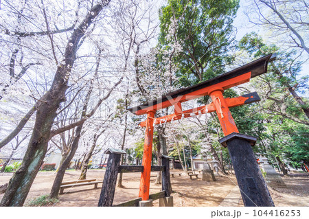 上氷川神社（上尾市） 104416253