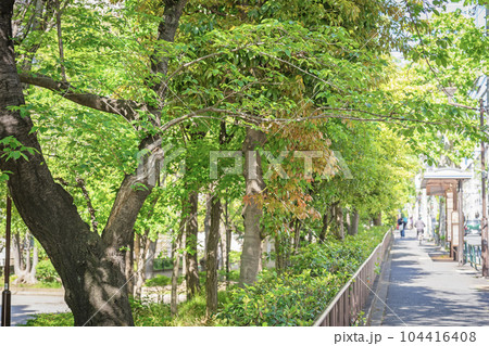 幡ケ谷第三公園 幡ケ谷第三公園 104416408