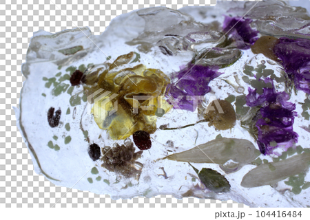 樹脂乾花 樹脂乾花 104416484