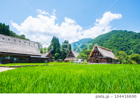 五箇山・菅沼合掌造り集落(夏) 五箇山・菅沼合掌造り集落(夏) 104416690