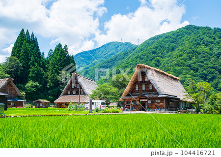 五箇山・菅沼合掌造り集落（夏） 104416721