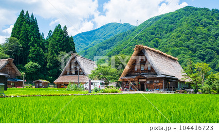 五箇山・菅沼合掌造り集落（夏） 104416723