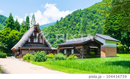 五箇山・菅沼合掌造り集落（夏） 104416739
