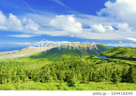 新緑の草津白根山 新緑の草津白根山 104416848