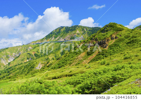 初夏の横手山 初夏の横手山 104416855