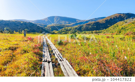 秋の栗駒山登山（産沼コース）：名残ヶ原 104417822