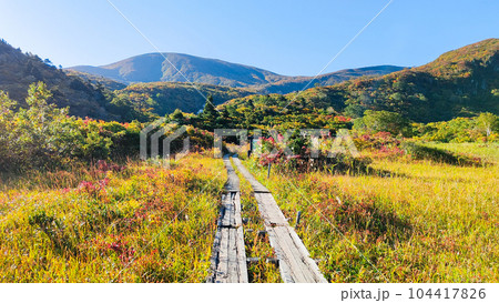 秋の栗駒山登山（産沼コース）：名残ヶ原 104417826