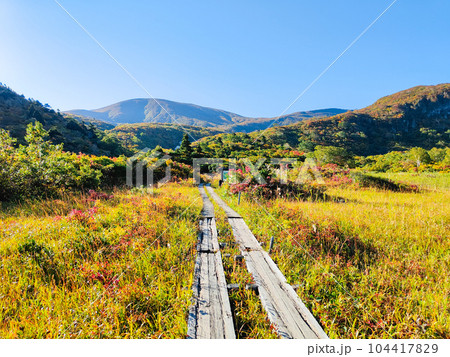 秋の栗駒山登山（産沼コース）：名残ヶ原 104417829