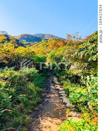 秋の栗駒山登山（産沼コース） 104417834