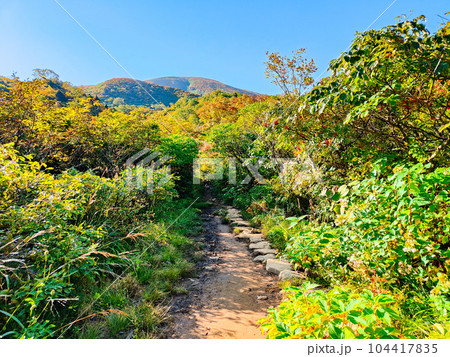 秋の栗駒山登山(産沼コース) 秋の栗駒山登山(産沼コース) 104417835
