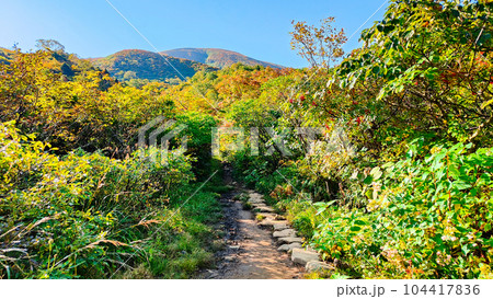 秋の栗駒山登山（産沼コース） 104417836