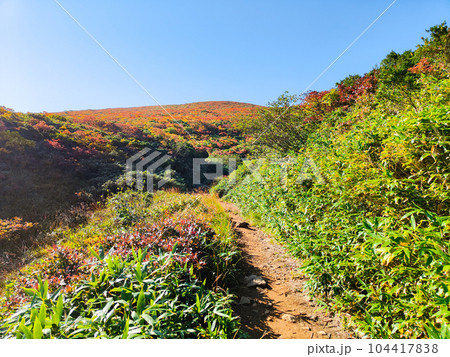 秋の栗駒山登山（産沼コース） 104417838