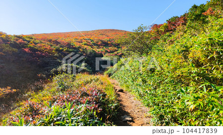 秋の栗駒山登山（産沼コース） 104417839