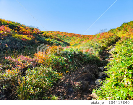 秋の栗駒山登山（産沼コース） 104417840