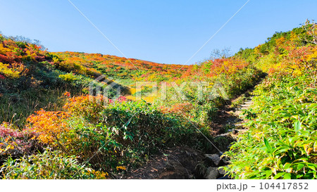 秋の栗駒山登山(産沼コース) 秋の栗駒山登山(産沼コース) 104417852