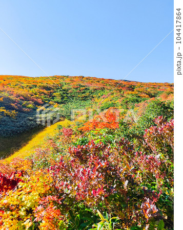 秋の栗駒山登山（産沼コース） 104417864