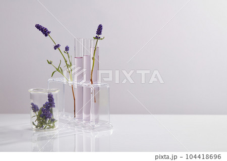 Several test tubes on a rack and a beaker with lavender flowers are displayed in the left side. Empty area in the right side for product promotion of Lavender (Lavandula) extract Several test tubes on a rack and a beaker with lavender flowers are displayed in the left side. Empty area in the right side for product promotion of Lavender (Lavandula) extract 104418696