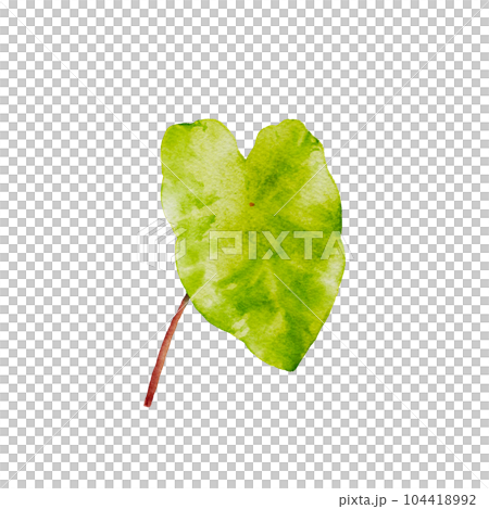 Midori Sour watercolor isolated background.Fresh Plant illustration 104418992