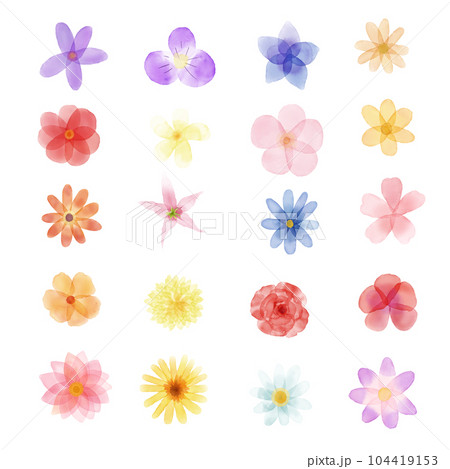 Beautiful Flowers watercolor set illustration.Hand draw colorful floral Beautiful Flowers watercolor set illustration.Hand draw colorful floral 104419153