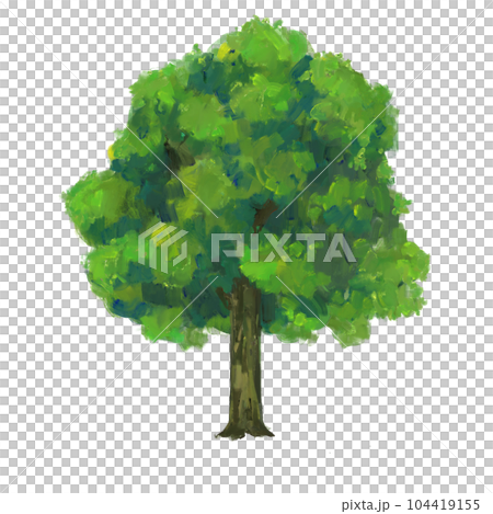 Tree isolated background. Green plant paint illustration. 104419155