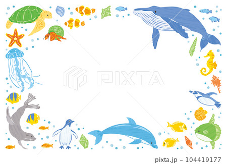 海の生き物 イラストフレーム 横 海の生き物 イラストフレーム 横 104419177