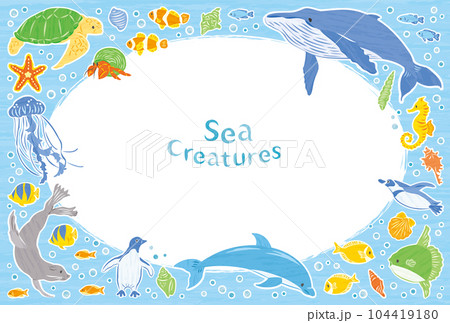 海の生き物　イラストフレーム　横 104419180