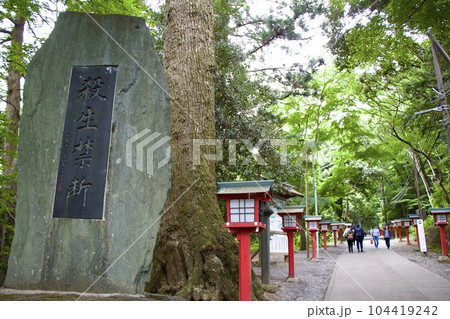高尾山 高尾山 104419242