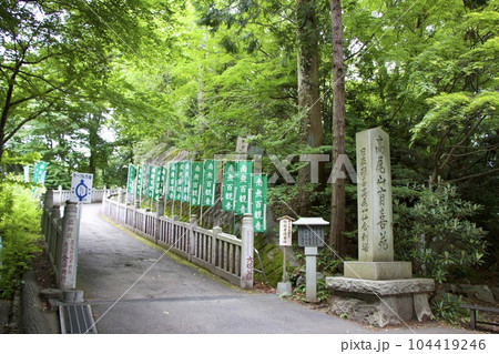 高尾山 104419246
