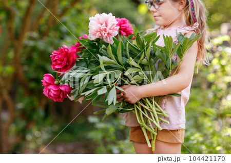 Cute adorable little preschool girl with huge bouquet of blossoming red and pink peony flowers. Portrait of smiling preschool child in domestic garden on warm spring or summer day. Summertime. Cute adorable little preschool girl with huge bouquet of blossoming red and pink peony flowers. Portrait of smiling preschool child in domestic garden on warm spring or summer day. Summertime. 104421170