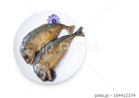 Above, Animal, Asia, Backgrounds, Calcium 104422274