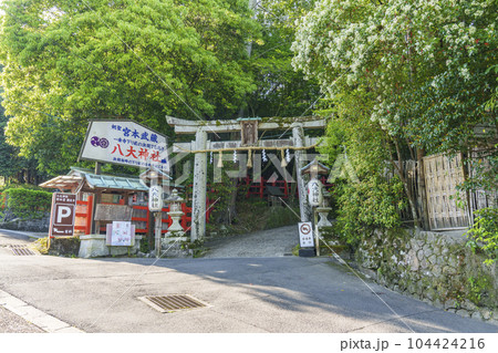 新緑に包まれた八大神社 ニノ鳥居(京都府京都市左京区一乗寺) 新緑に包まれた八大神社 ニノ鳥居(京都府京都市左京区一乗寺) 104424216