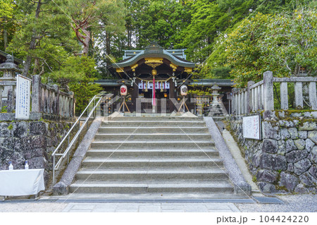 新緑に包まれた八大神社　御本殿（京都府京都市左京区一乗寺） 104424220