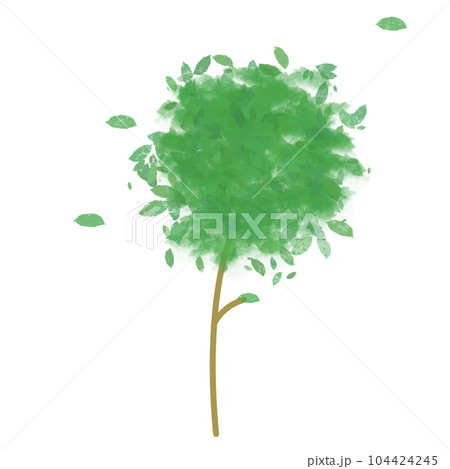 forest tree 104424245