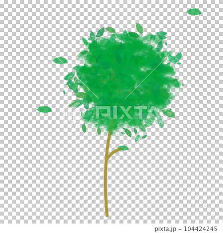forest tree 104424245